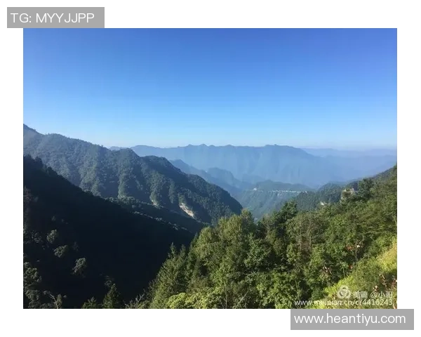 海门三厂足球明星的崛起与成就探索之旅 海门三厂足球明星的崛起与成就探索之旅