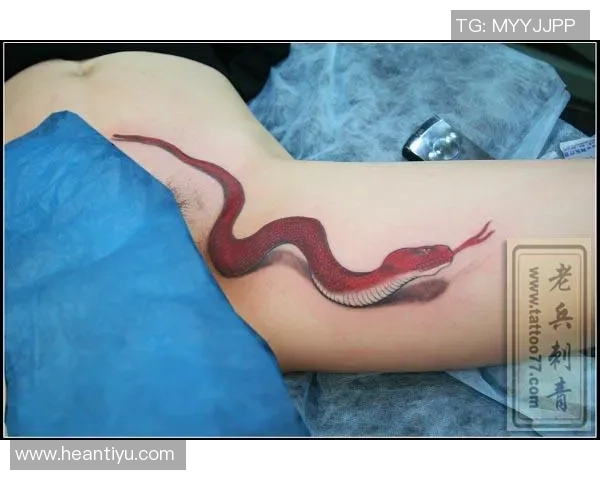 足球明星独特蛇纹身图案解析与设计灵感分享