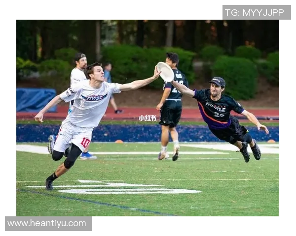 飞盘热议：南京飞盘队的耐力争议